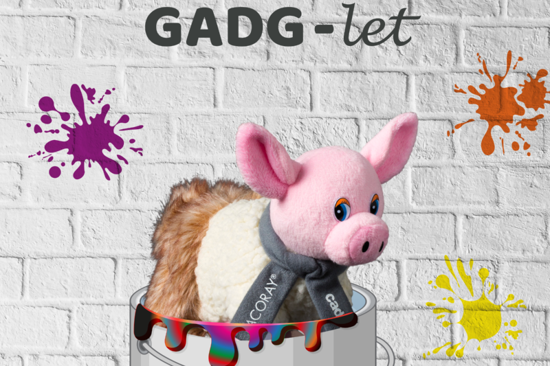 https://lacoray.ch/wp-content/uploads/2023/12/GADG-let-6-.png