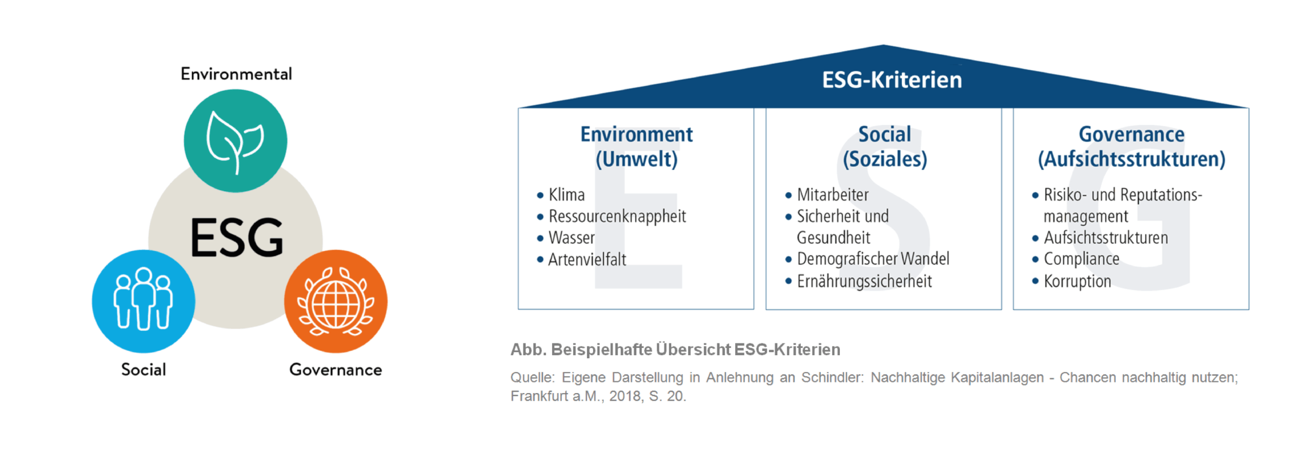 https://lacoray.ch/wp-content/uploads/2024/02/esg2go-Sustainability-Rating-Tool-scaled.png