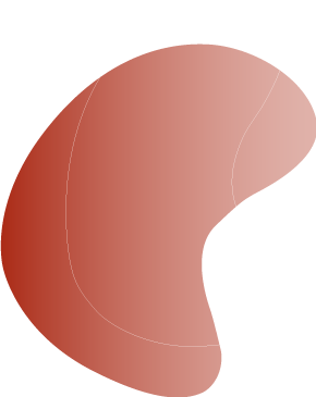 https://lacoray.ch/wp-content/uploads/2024/02/floating_image-1-1.png