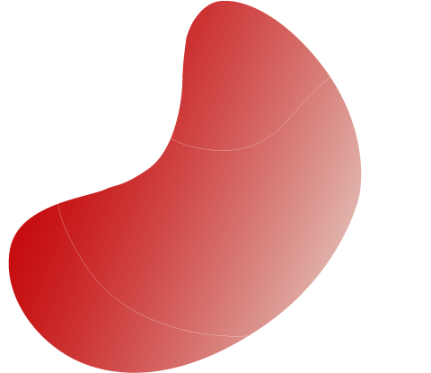 https://lacoray.ch/wp-content/uploads/2024/02/floating_image-3-1-1.png