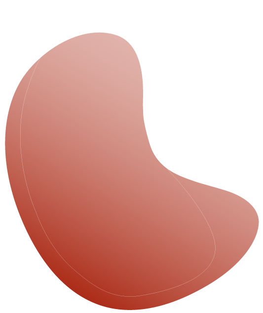 https://lacoray.ch/wp-content/uploads/2024/02/floating_image-6.png