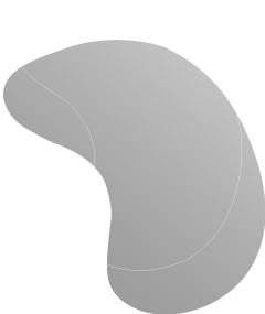 https://lacoray.ch/wp-content/uploads/2024/02/floating_image-7.png